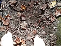 Little Nylon Forest Walk