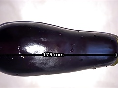legume de saison c'est bon