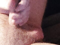 Small Cologne Cock