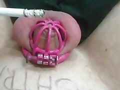 My tiny dick lock in chastity, being burned by cigarettes. No penis, it is ashtray. Cbt, sph.