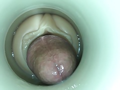 Cum Receptacle by cum cam man