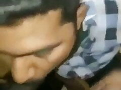 Boy sucking friend' dick