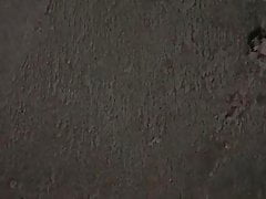 Sex