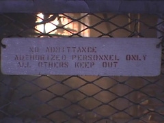 Link: The evolution (2)