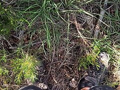 Quick outdoor wank