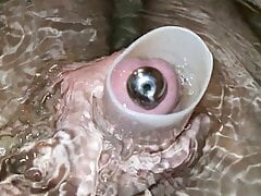 slomotion cumshot bath toy