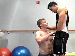 muscular beefy pornographic star gives bj