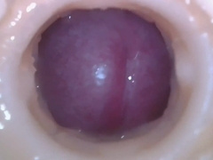 Epic close-up on the geyser of the gay-for-pay dad inwards the masturbator pal..