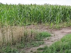 Guy Jerks Off in a Cornfield