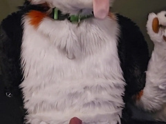 Elastrator Have fun with @AngryBarks Supreme Studs Get Neutered!
