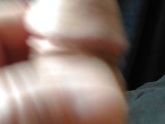 pette bite