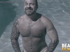 Teddy, bear, big-cock