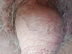 My little cock is shaved
