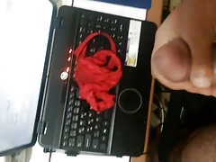 tanga sperm
