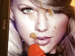 Taylor Swift Tribute #3