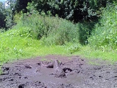 Mud Bath