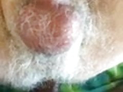 Hairy Top Fucks Horny Polarbear: BB-DEEP SEEDING