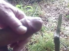 Geil im Wald