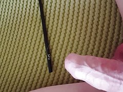 Penis Insertion