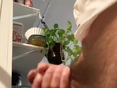 Really Horny Get My Dick In Your Mouth Now