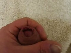 Big Cock
