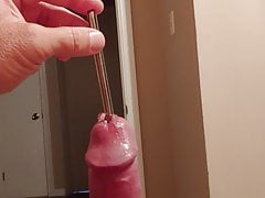 Sounding BWC in cage