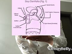 Sissy Transition CLINIC - Obedience Training