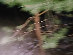 Nice little wank in the woods