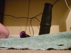 Playing with my bad dragon Bumblehooves for the first time