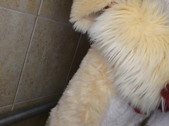 Urinating and jizzing for you in fursuit
