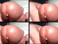 CUMSHOTS COMPILATION (FOR FUN...)